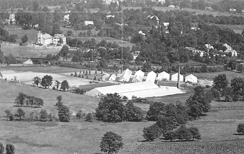 Campbell's Nursery, Strafford