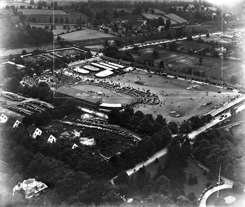 Devon Horse Show