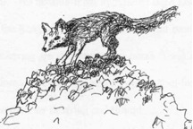 Illustration from page 68