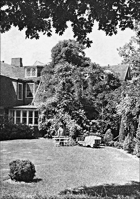 Illustration from back cover